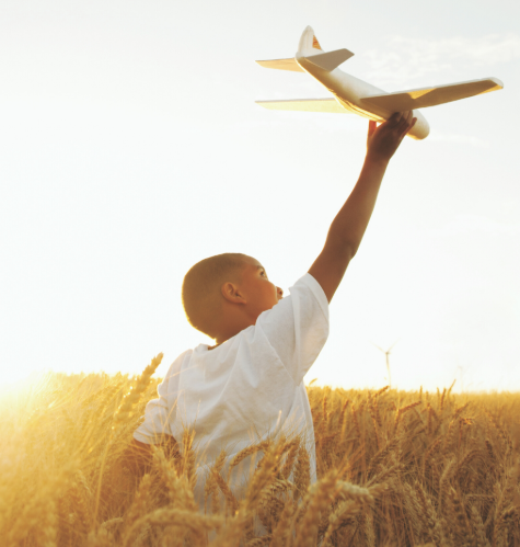 Understanding the Strategic Advantages of an Estate Freeze