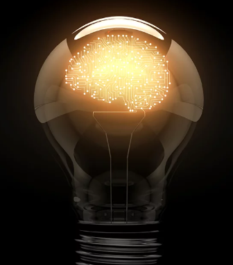 Maximizing Wealth through Alternative Asset Investments