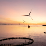 How Startups Can Tackle Rising Electricity Costs