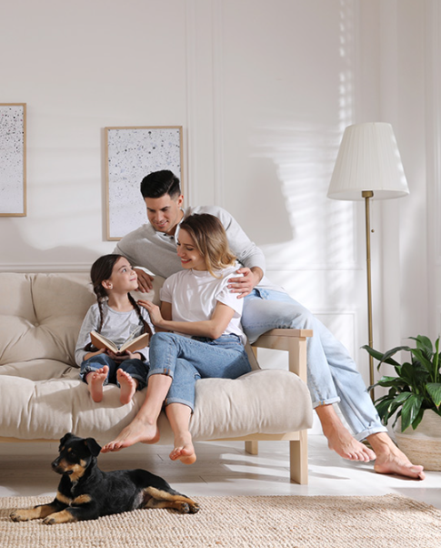 A Comprehensive Guide to Family Investment Companies (FICs)