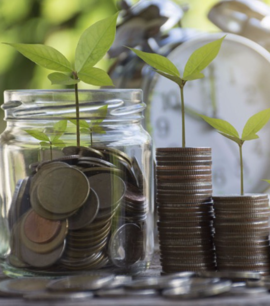 Is Your Pension Fund the Right Fit? Understanding Default Funds