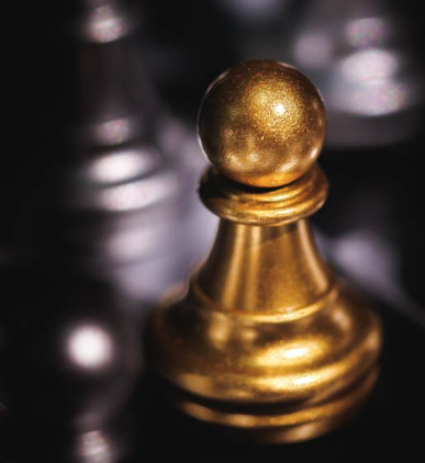 Balancing Risk and Reward: Conservative Strategies for Stable Investment