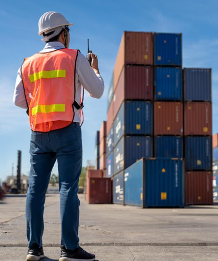 VAT Fraud: Understanding the Scope, Penalties, and Reporting Procedures for 2025