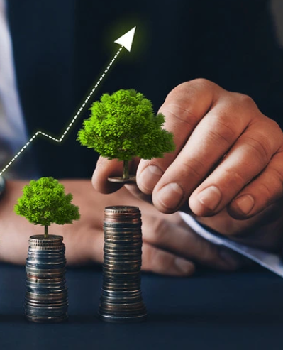 A Beginner’s Guide to Collaborating with Distributors