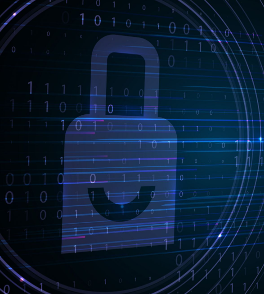 The Entrepreneur’s Essential Guide to Data Protection